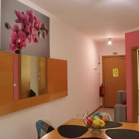 Garajau Terrace Orchids *