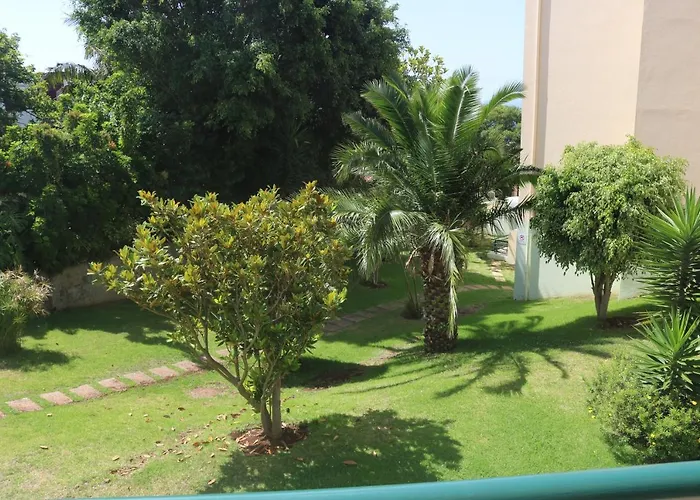 Apartament Garajau Terrace Orchids *